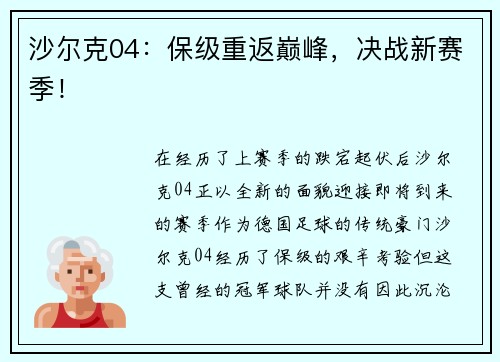 沙尔克04：保级重返巅峰，决战新赛季！