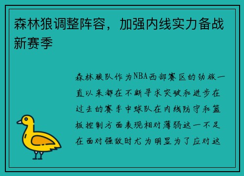 森林狼调整阵容，加强内线实力备战新赛季